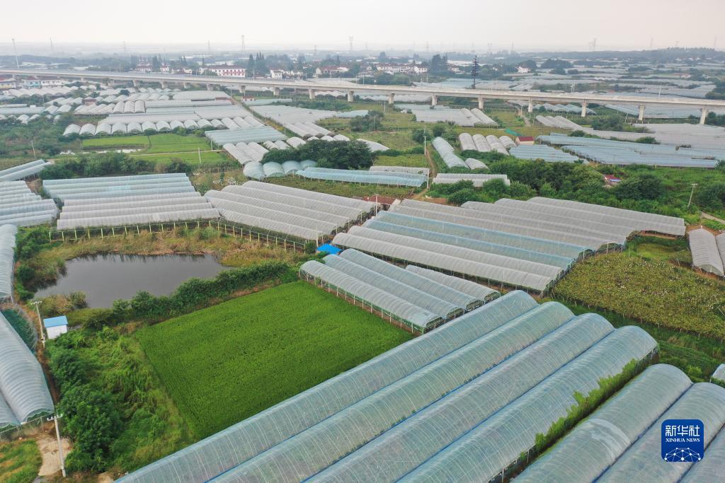 连环夺宝下载